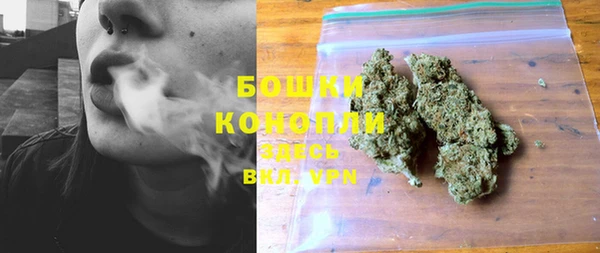 прущий лед Абаза