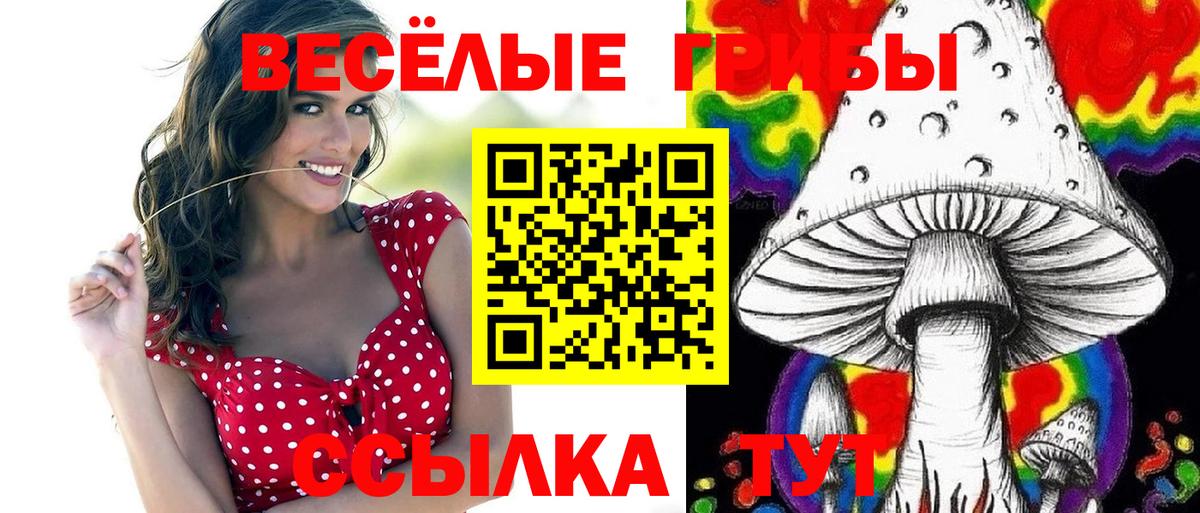 Псилоцибиновые грибы мицелий Ялта